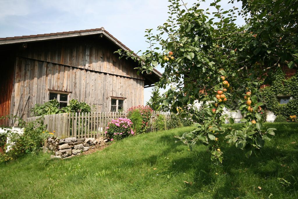 Landhaus Berktold Обермайзелщайн Екстериор снимка